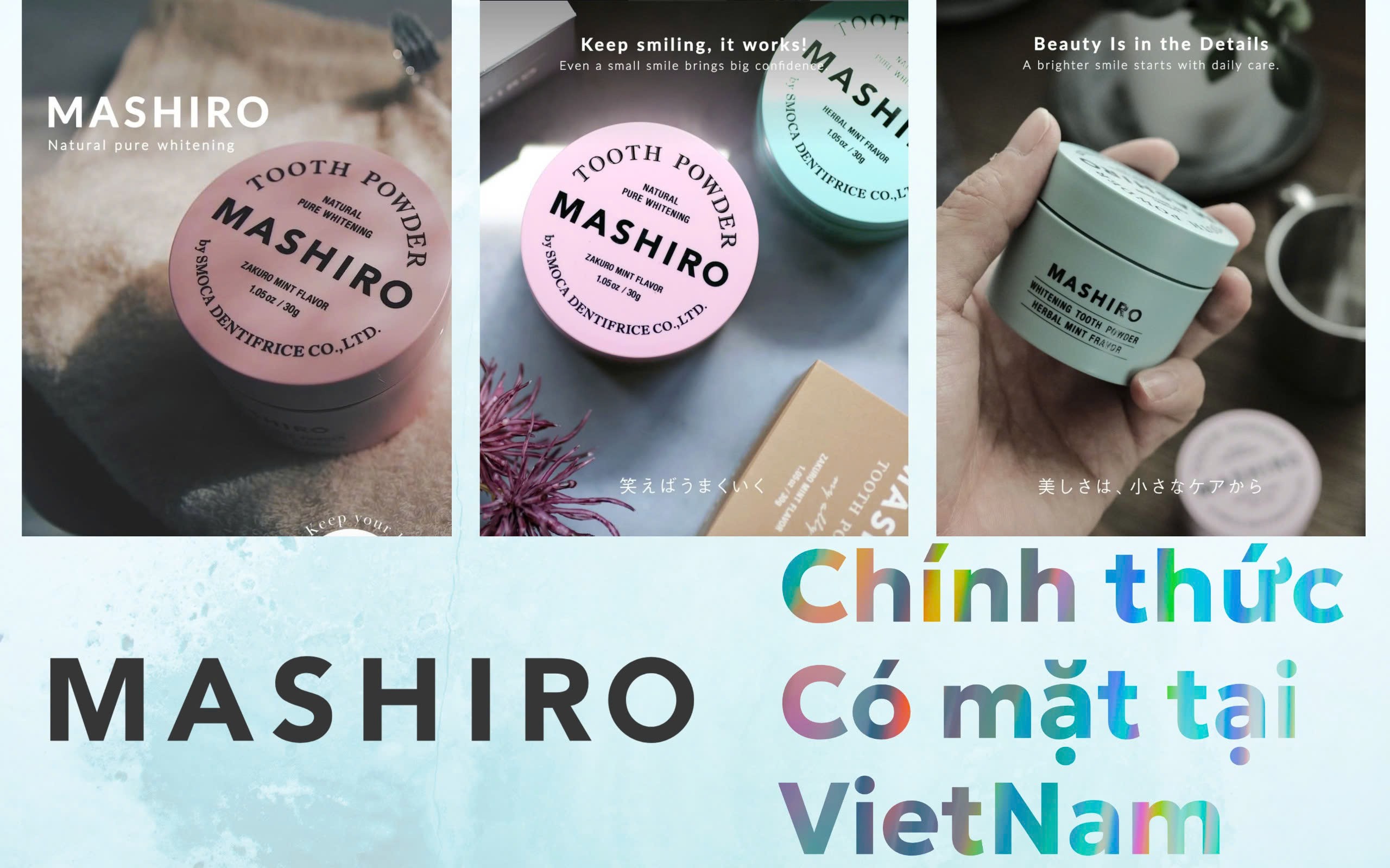 Mashiro chính thức đến Việt Nam